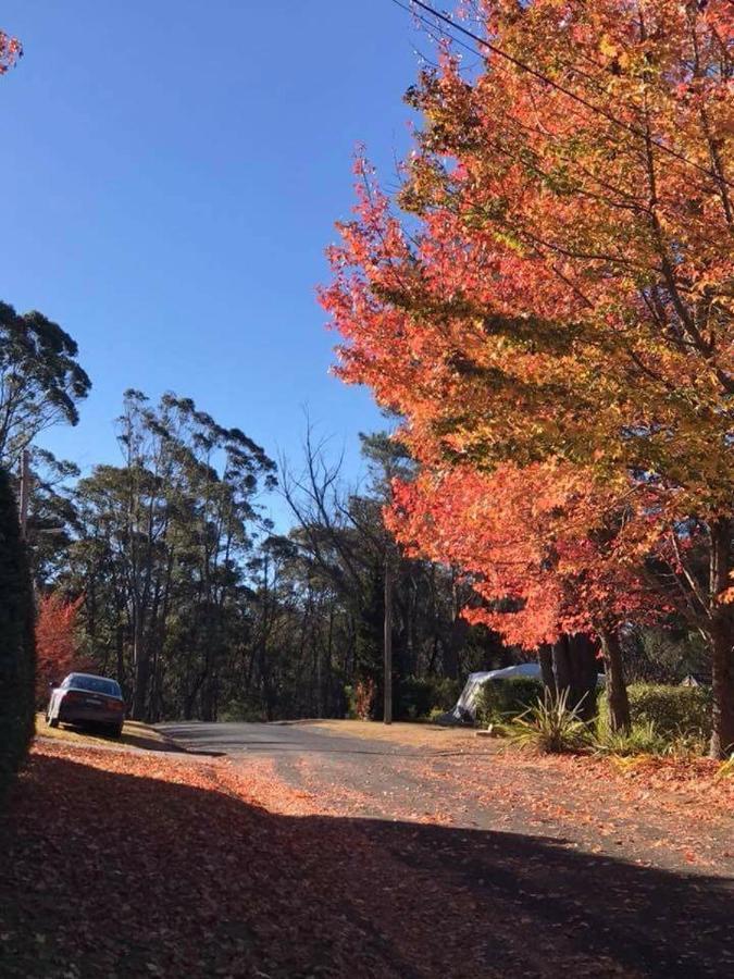 Newly Built - Blue On Albion Βίλα Katoomba Εξωτερικό φωτογραφία
